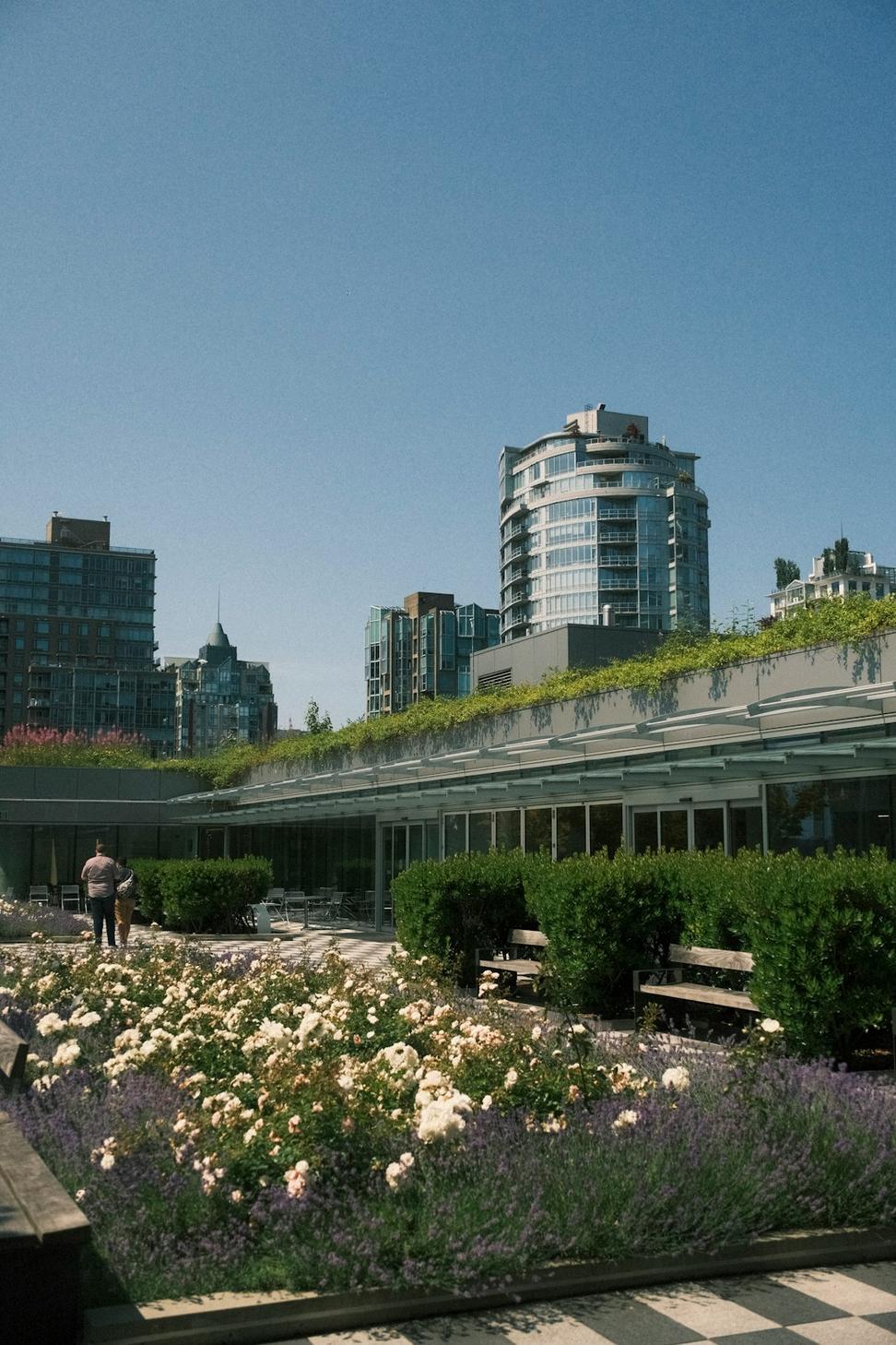 Green Roof Community Center